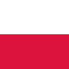 Polish Polish