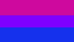 Bisexual Bisexual